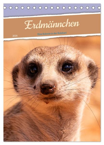 Produktbild: Erdm&auml;nnchen - Eine Kolonie in der Kalahari (Tischkalender 2026 DIN A5 hoch), CALVENDO Monatskalender