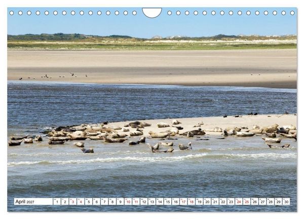 Produktbild: Borkum - Momente einer Reise (Wandkalender 2027 DIN A4 quer), CALVENDO Monatskalender