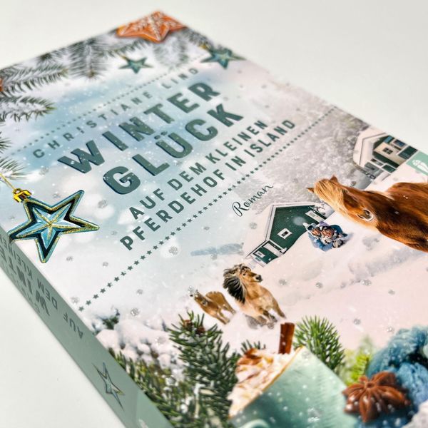 Produktbild: Wintergl&uuml;ck auf dem kleinen Pferdehof in Island
