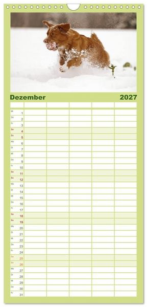 Produktbild: Familienplaner 2027 - Nova Scotia Duck Tolling Retriever mit 5 Spalten (Wandkalender, 21 x 45 cm) CALVENDO