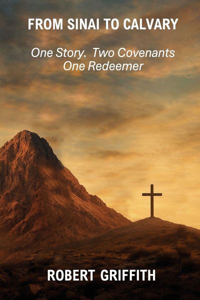 Produktbild: From Sinai To Calvary
