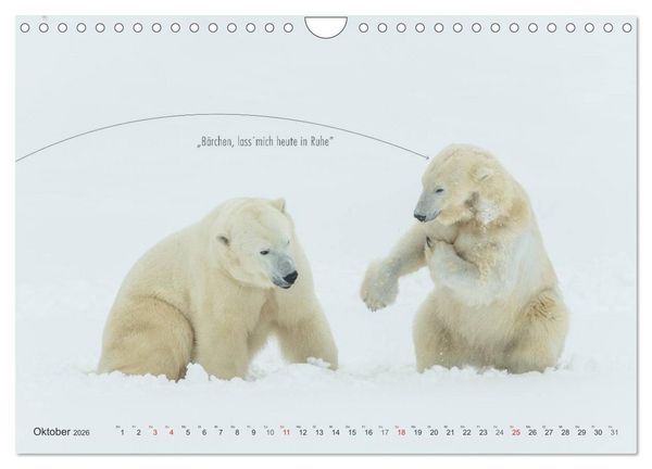 Produktbild: Emotionale Momente: Eisb&auml;ren - ganz menschlich gesehen. (Wandkalender 2026 DIN A4 quer), CALVENDO Monatskalender
