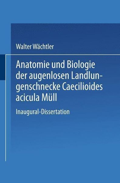 Produktbild: Anatomie und Biologie der augenlosen Landlungenschnecke Caecilioides acicula M&uuml;ll