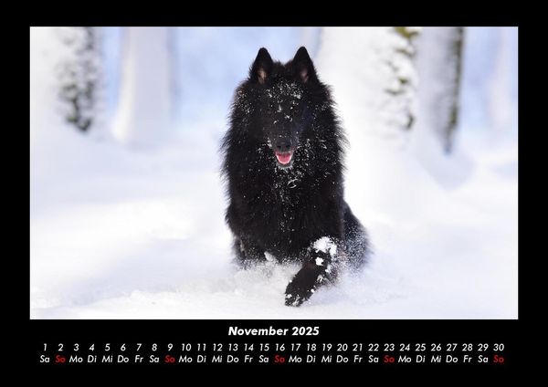 Produktbild: Hundezauber 2025 Fotokalender DIN A3