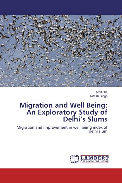 Produktbild: Migration and Well Being: An Exploratory Study of Delhi's Slums