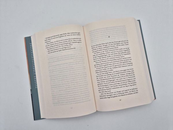 Produktbild: D&auml;mmerung