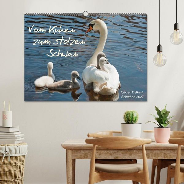 Produktbild: Vom K&uuml;ken zum stolzen Schwan (Wandkalender 2027 DIN A2 quer), CALVENDO Monatskalender