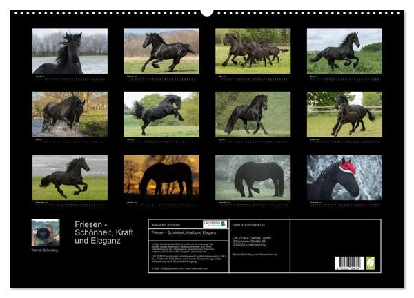 Produktbild: Friesen - Sch&ouml;nheit, Kraft und Eleganz (Wandkalender 2026 DIN A2 quer), CALVENDO Monatskalender