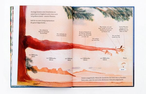 Produktbild: Ein Baum ist eine Zeitmaschine