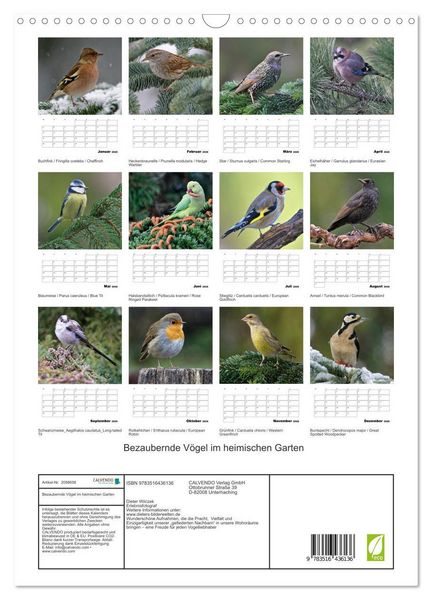 Produktbild: Bezaubernde V&ouml;gel im heimischen Garten (Wandkalender 2026 DIN A3 hoch), CALVENDO Monatskalender