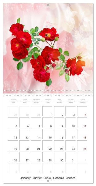 Produktbild: Sheer joy (Wall Calendar 2026 12 &times; 12 Inch) CALVENDO 12 Month Wall Calendar
