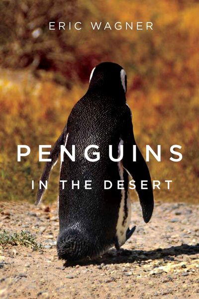 Produktbild: Penguins in the Desert