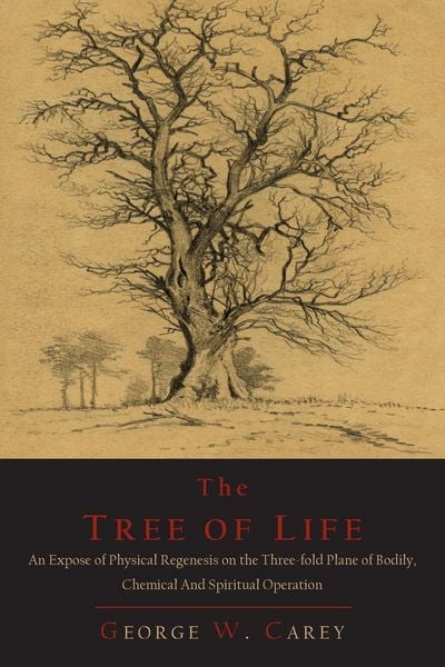 Produktbild: The Tree of Life