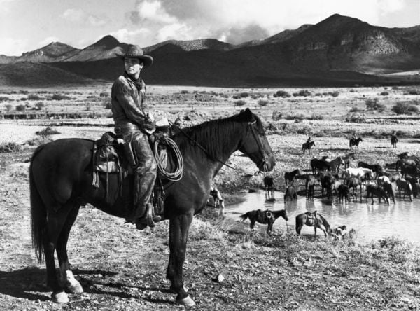 Produktbild: Red River - Panik am roten Fluss - 2-Disc Edition (Blu-ray + Bonus-Blu-ray)