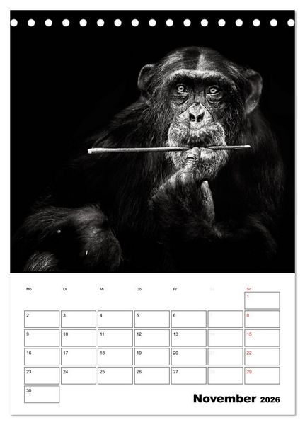 Produktbild: Charakterk&ouml;pfe aus der Welt der Tiere (Tischkalender 2026 DIN A5 hoch), CALVENDO Monatskalender