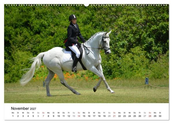 Produktbild: Vielseitigkeitsreiten (Wandkalender 2027 DIN A2 quer), CALVENDO Monatskalender