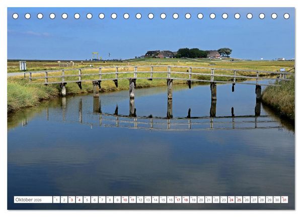 Produktbild: Sommertage auf Hallig Hooge (Tischkalender 2026 DIN A5 quer), CALVENDO Monatskalender