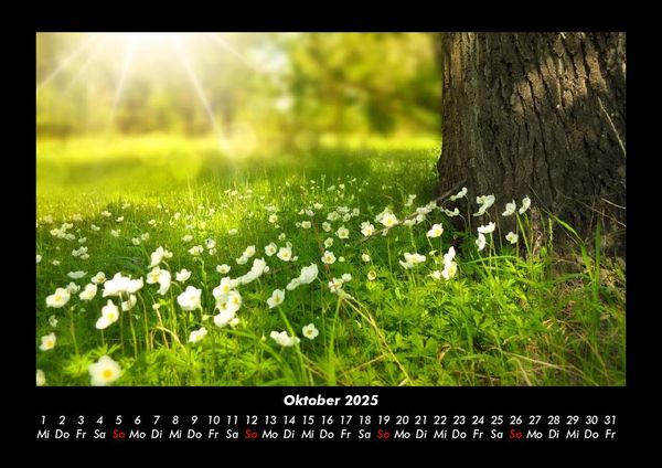 Produktbild: Pflanzen und Bl&uuml;ten 2025 Fotokalender DIN A3