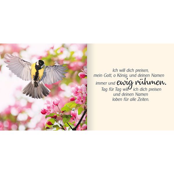 Produktbild: Ich schenke dir Psalm 145