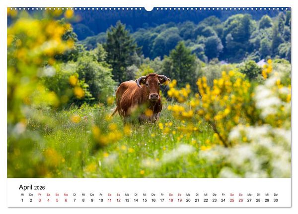 Produktbild: Westfeld-Ohlenbach im Wechsel der Jahreszeiten (hochwertiger Premium Wandkalender 2026 DIN A2 quer), Kunstdruck in Hochglanz