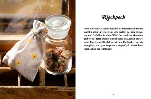 Das große kleine Buch: Harz- und Pechsalben