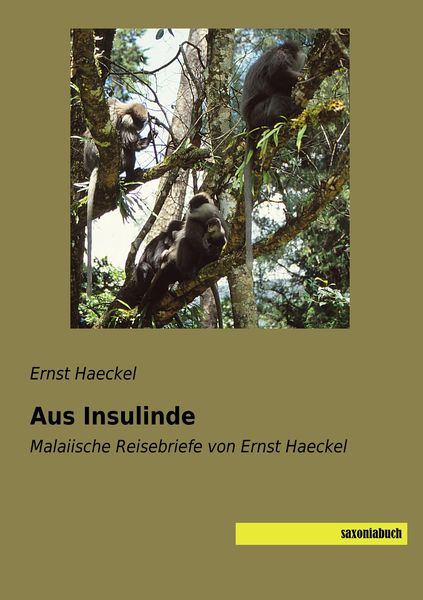 Aus Insulinde, Taschenbuch von Ernst Haeckel, Saxoniabuch.de, 9783957706829