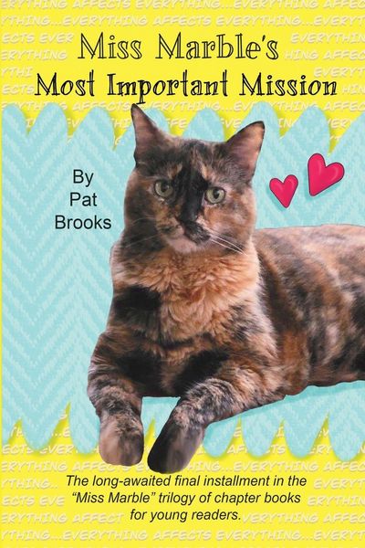 Produktbild: Miss Marble's Most Important Mission