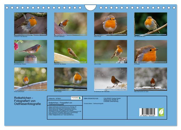 Produktbild: Rotkehlchen - Fotografiert von Ostfriesenfotografie (Wandkalender 2026 DIN A4 quer), CALVENDO Monatskalender