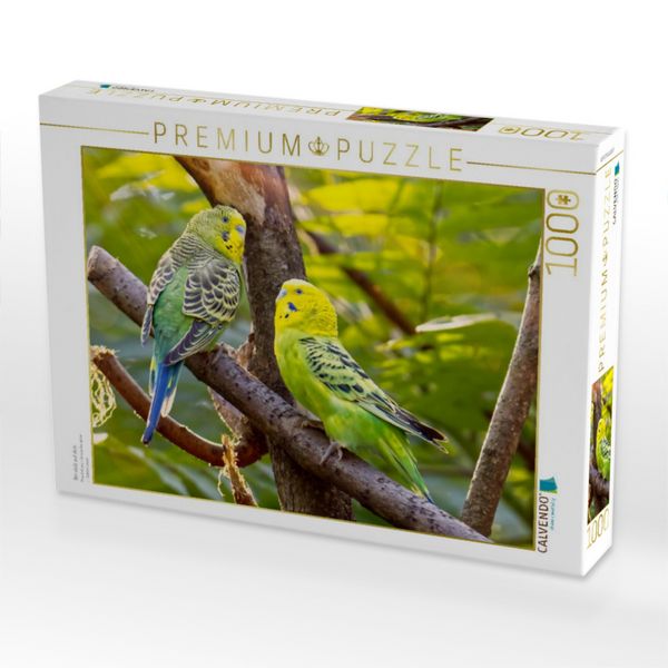 Produktbild: CALVENDO Puzzle Bin stolz auf dich | 1000 Teile Lege-Gr&ouml;&szlig;e 64x48cm Foto-Puzzle f&uuml;r gl&uuml;ckliche Stunden