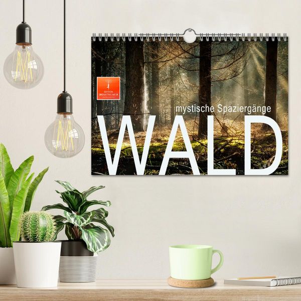 Produktbild: Wald - mystische Spazierg&auml;nge (Wandkalender 2026 DIN A4 quer), CALVENDO Monatskalender
