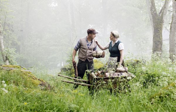 Produktbild: Nils Holgerssons wunderbare Reise - Die vierteilige Miniserie (Fernsehjuwelen) [3 DVDs]