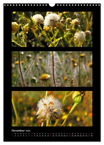 Produktbild: ZAUBERWELT DER BLUMEN - EISKRISTALLE & WASSERPERLEN (Wandkalender 2026 DIN A3 hoch), CALVENDO Monatskalender