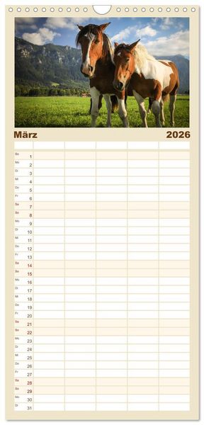 Produktbild: Familienplaner 2026 - Ostallg&auml;u - Zwischen Aggenstein und Forggensee mit 5 Spalten (Wandkalender, 21 x 45 cm) CALVENDO