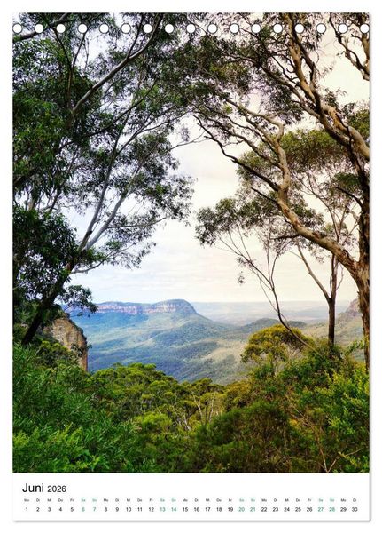 Produktbild: Regenwald - Australien (Tischkalender 2026 DIN A5 hoch), CALVENDO Monatskalender