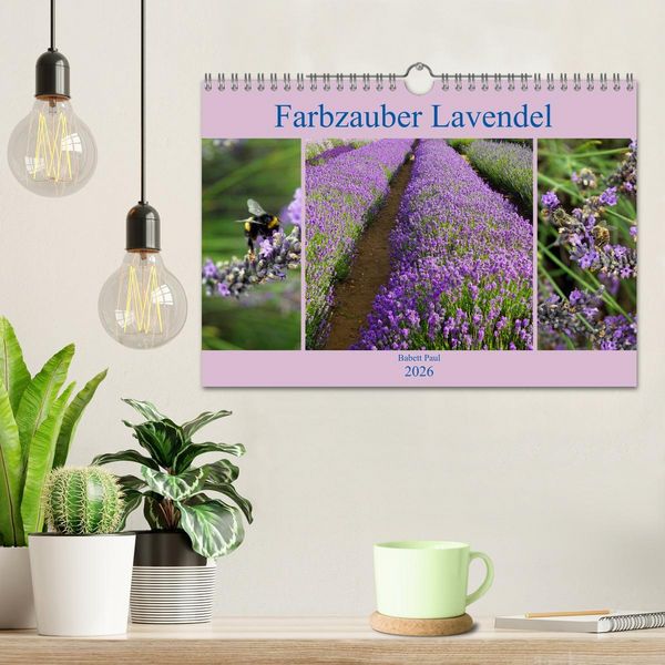 Produktbild: Farbzauber Lavendel (Wandkalender 2026 DIN A4 quer), CALVENDO Monatskalender