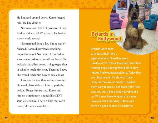 Produktbild: National Geographic Kids Chapters: Dog on a Bike!