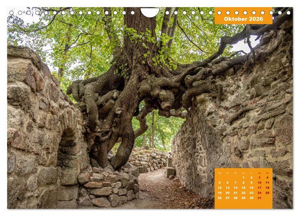 Produktbild: Traumhafter Harz (Wandkalender 2026 DIN A4 quer), CALVENDO Monatskalender