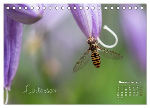 Produktbild: Bl&uuml;ten,Fl&uuml;gel und Gedanken &ndash; Ein Jahr in Bildern und Worten (Tischkalender 2027 DIN A5 quer), CALVENDO Monatskalender