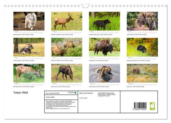Produktbild: Yukon Wild (Wall Calendar 2026 DIN A3 landscape), CALVENDO 12 Month Wall Calendar