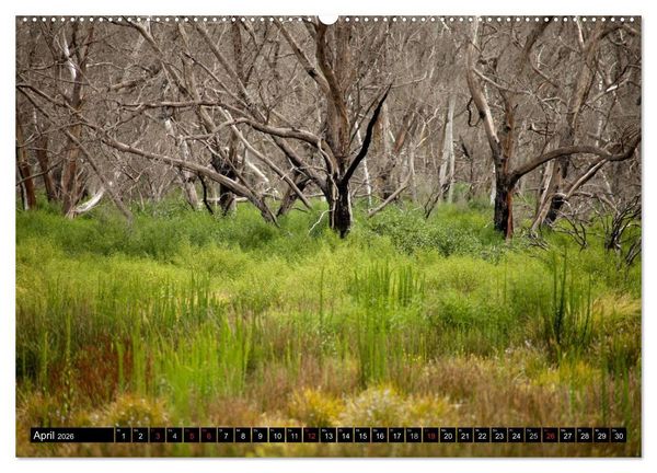 Produktbild: Kangaroo Island (hochwertiger Premium Wandkalender 2026 DIN A2 quer), Kunstdruck in Hochglanz