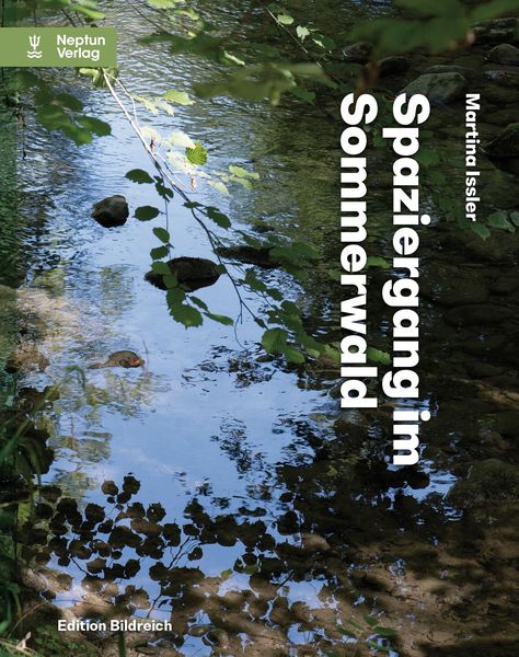 Produktbild: Spaziergang im Sommerwald