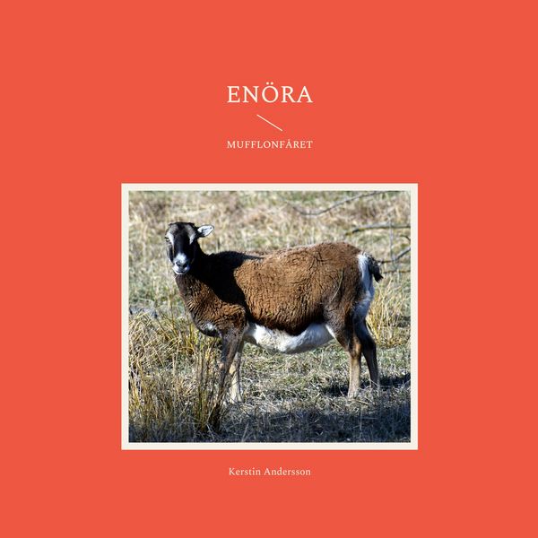 Produktbild: En&ouml;ra