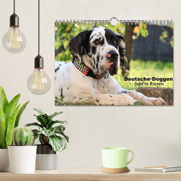 Produktbild: Deutsche Doggen - Sanfte Riesen (Wandkalender 2026 DIN A4 quer), CALVENDO Monatskalender