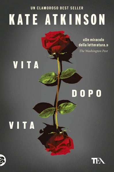 Produktbild: Vita dopo vita