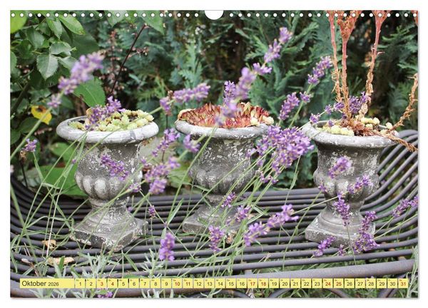 Produktbild: Gartentr&auml;umerei (Wandkalender 2026 DIN A3 quer), CALVENDO Monatskalender