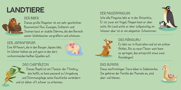 Produktbild: Die Welt. Meine Erste Puzzle Box