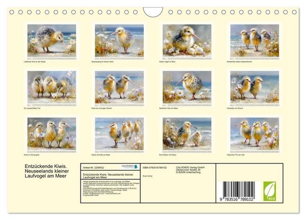 Produktbild: Entz&uuml;ckende Kiwis. Neuseelands kleiner Laufvogel am Meer (Wandkalender 2027 DIN A4 quer), CALVENDO Monatskalender