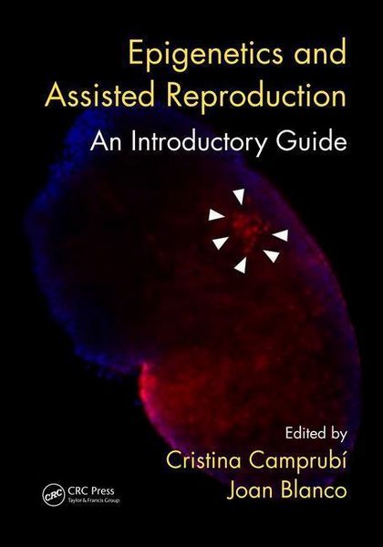 Produktbild: Epigenetics and Assisted Reproduction