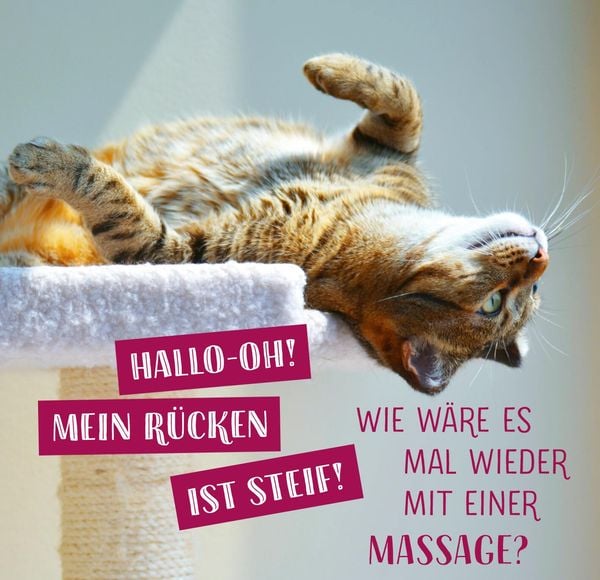 Produktbild: Die ganze Wahrheit &uuml;ber deine Katze