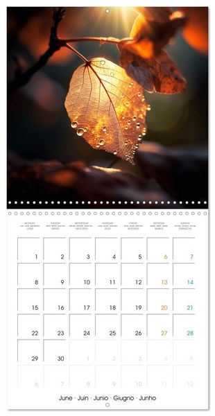 Produktbild: &Eacute;clats naturels (Calendrier mural carr&eacute; 2026 30x30 cm) Calendrier double avec une page pour vos prises de notes